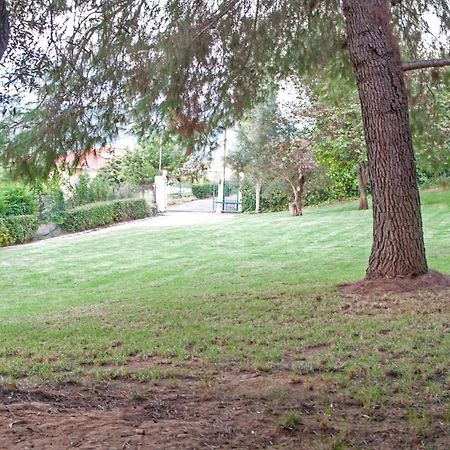 Smila Oasis Olympia Apartments المظهر الخارجي الصورة