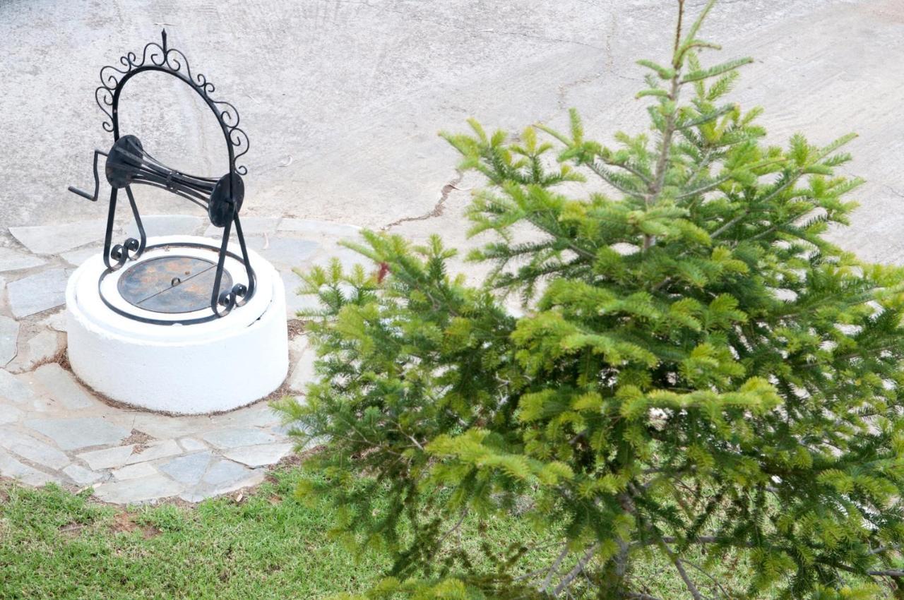Smila Oasis Olympia Apartments المظهر الخارجي الصورة